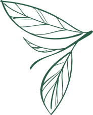 Aromia Herbal Detox Infusion